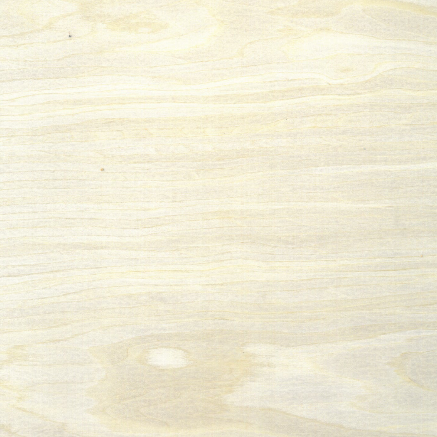 White Maple N2486N veneer on MDF 3mm